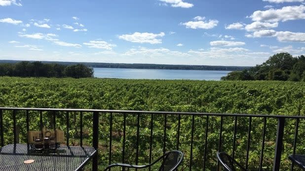 Vines and a lake view from a terrace