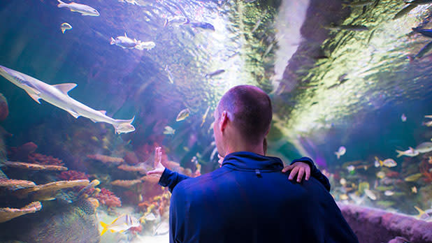man with child staring at fish in indoor aquarium