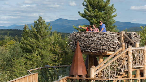 A family perched in a giant eagle's nest overlooking the Adirondacks