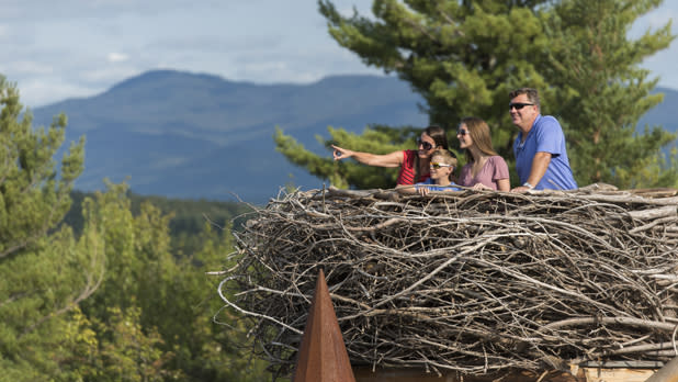A family looks out at the Adirondacks from a human-sized bird's nest