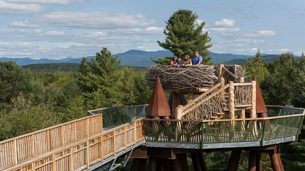 Observatory deck designed to look like a nest at Wild Center and Wild Walk in the Adirondacks