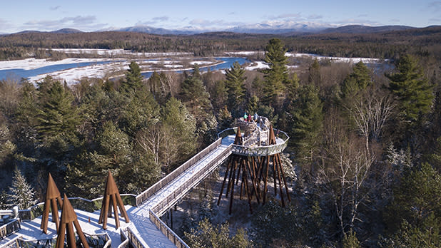 The elevated Wild Walk at Wild Center blanketed in snow during winter