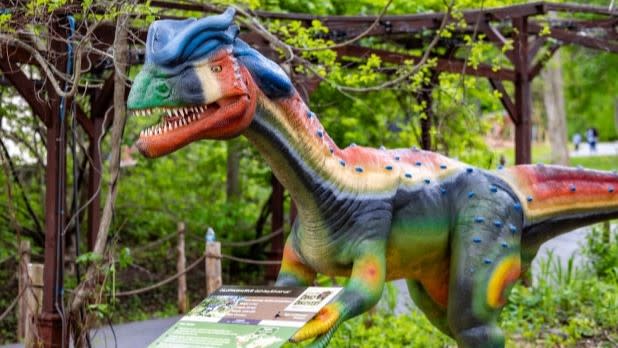 A rainbow dinosaur statue at the Dino Discovery Exhibit at the Utica Zoo
