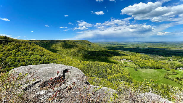 view of a meadow in thatcher state park