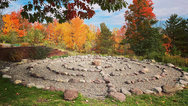A rock garden at the Landis Arboretum with glorious fall foliage in the background