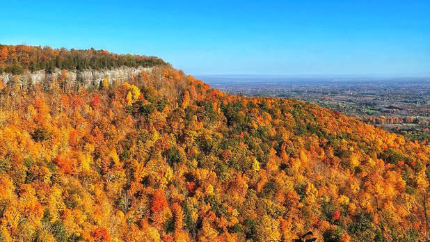Orange, red, and yellow leaves decorate a mountainside