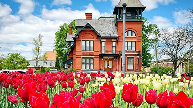 A field of red tulips in bloom in front of a terracotta colored house at the Albany Tulip Festival on a partly cloudy day