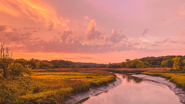 The sky lit aglow in shades of purple and orange over Alley Pond Park during sunrise