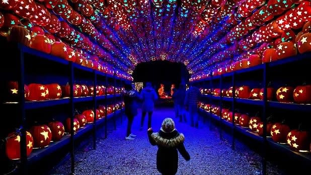 A girl looks up at a tunnel filled with glowing jack O'Lanterns