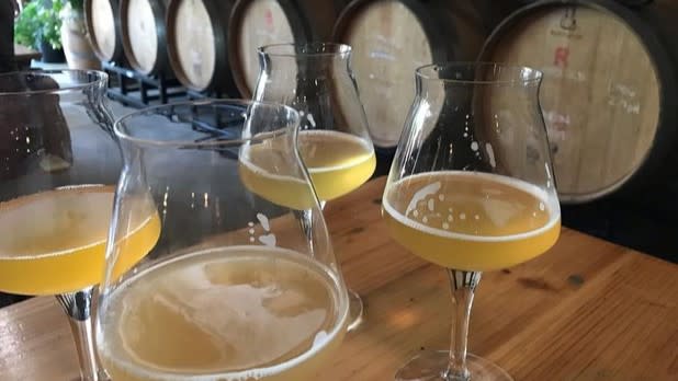 Four glasses of beer sitting on a table in front of barrels