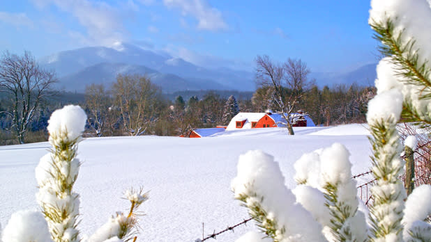 Snow covered shot of Algonquin Mountain