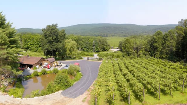 Bashakill Vineyards in the Catskills.