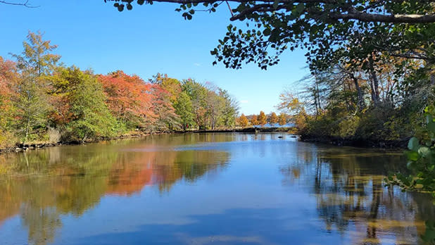 Trees start to change color along the Connetquot River as seen from  Bayard Cutting Arboretum State Park