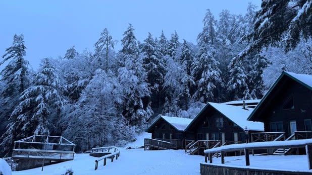 Cabins and pine trees covered in snow at Ridin-Hy Ranch in the Adirondacks