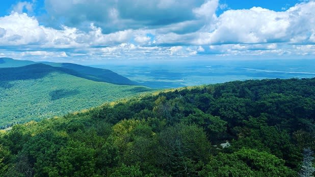 Green trees and blues skies in the Catskills from Overlook Mountain