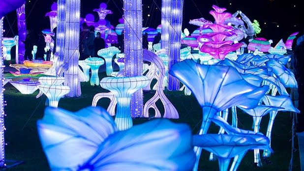 An immersive light display of blur and pink flowers at LuminoCity