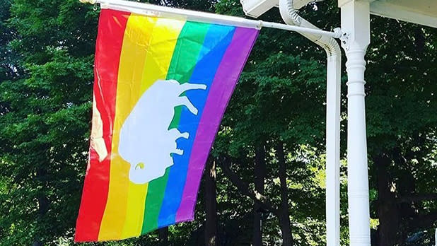 Buffalo Pride flag: a buffalo on a rainbow flag