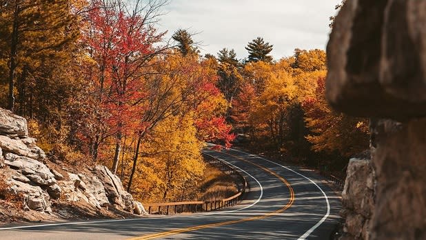 A winding road surrounded by vibrant fall foliage along the Shawangunk Mountains Scenic Byway