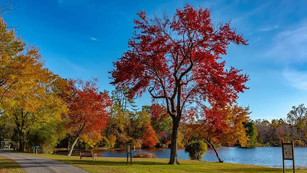 Trees in colorful foliage along a lake at Caleb Smith State Park Preserve