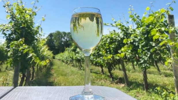 Glass of white wine with a vineyard backdrop at Casa Larga Winery
