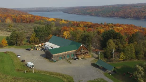 Aerial view of vineyard against lake and fall foliage background