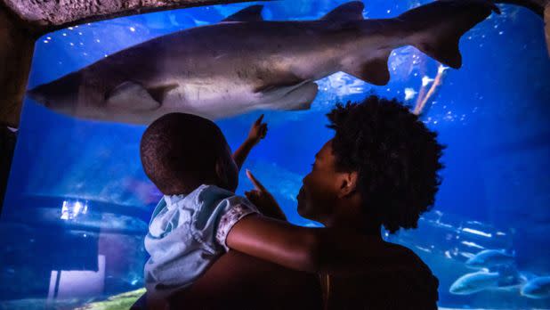 Long Island Aquarium