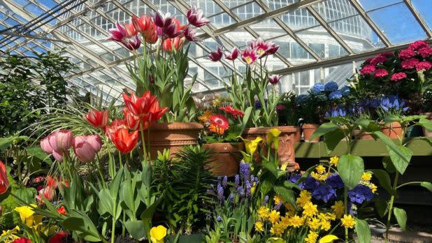 Buffalo Botanical Garden - spring exhibit