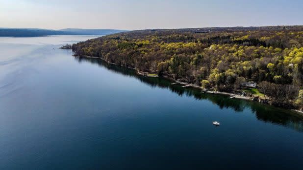 Aerial shot of cayuga lake surrounded by lush greenery