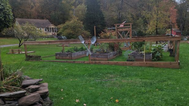 Airbnb yard with trees and foliage in the background and a community garden in the foreground