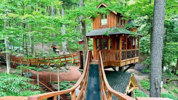 Airbnb Treehouse elevated amongst trees with a connecting foot bridge, all set against lush greenery