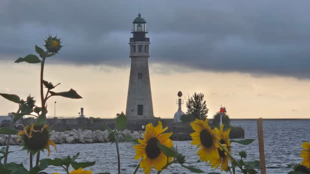 View of lighthouse during a gloomy day, sunflowers in the foreground