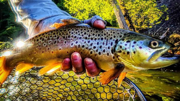 Top 22 Places to Fly Fish in New York- And What Flies to Use