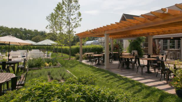 Outdoor dining setting on a vineyard