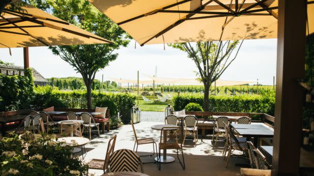 Outdoor dining setting on vineyard