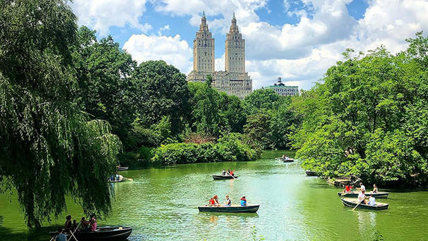 centralpark_@nyc_pics_and_tips-Instagram_618x348