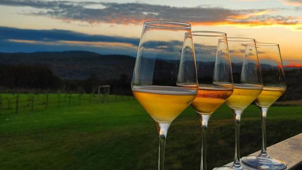 Four wine glasses filled with cider lined up on a railing during sunset at Seminary Hill Cidery in Callicoon