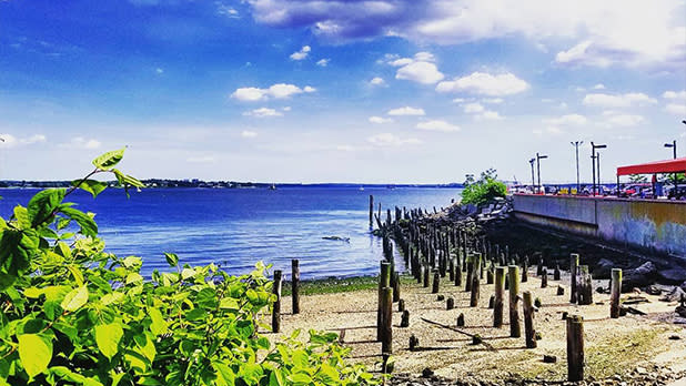 A view of a beach with wood pilings and the water