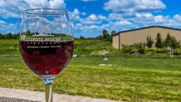 Red wine in a glass that says "Coyote Moon Vineyards" with a view of the vineyard in the background