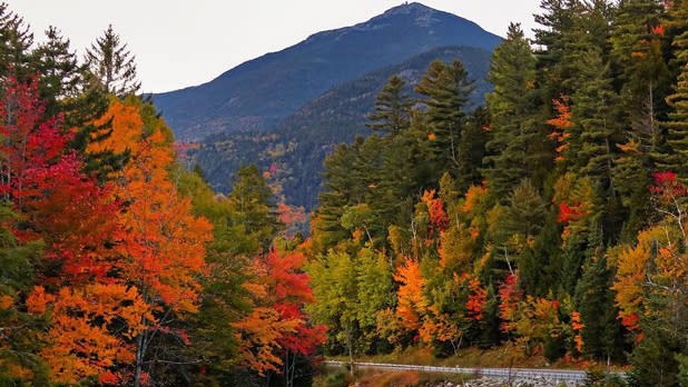 Yellow, orange, and red fall leaves surround a mountain peak