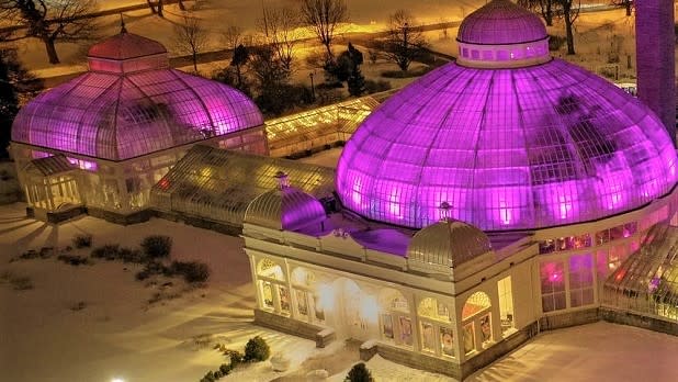 The conservatory building lit aglow in purple for Gardens After Dark at the Buffalo and Erie County Botanical Gardens