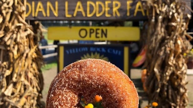 Person holding an apple cider donut in front of the Indian Ladder Farms sign