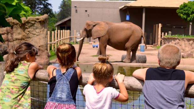 Kids Watching Elephant at Seneca Park Zoo in NY