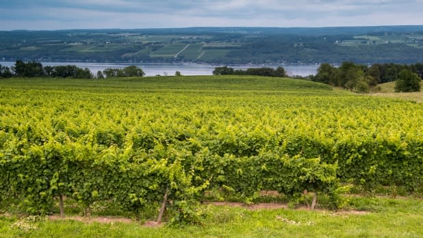 Lakewood Vineyard on Seneca Lake