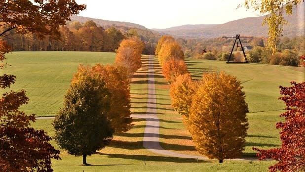 A aisle of trees in peak fall foliage with a sculpture on the lawn at Storm King Art Center