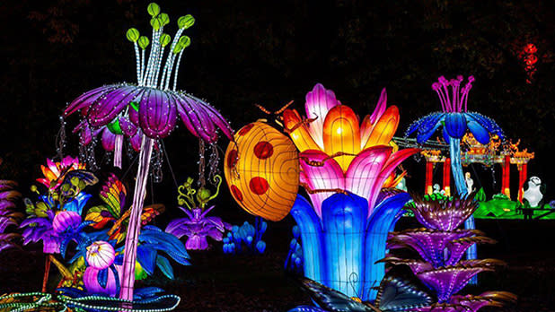 Several larger-than-life-sized bright glowing neon-colored lanterns of flowers and an orange and red-spotted ladybug sitting on the Onondaga Lake