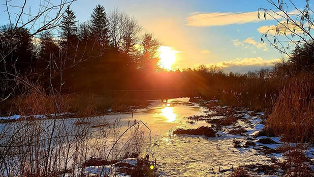 Scenery from Five Rivers Environmental Education Center at Sunset