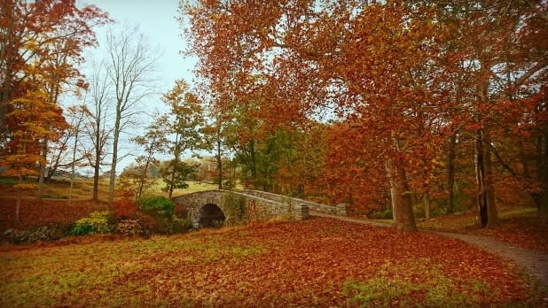 A weathered stone bridge arches over a stream in a quiet autumn forest, surrounded by vivid red, orange, and golden fallen leaves at Rockefeller State Park Preserve.
