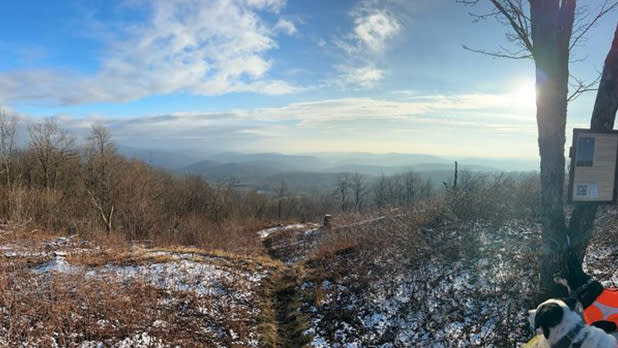 Patches of snow cover the ground overlooking the Catskill Mountains from the peak of Bramley Mountainon a sunny winterday