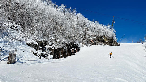A person skis down a tree-lined slope at Hunter Mountain