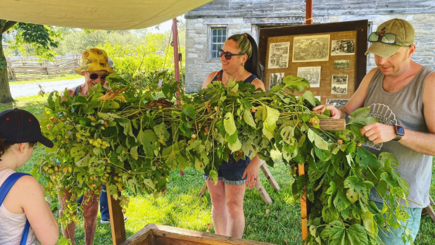 Four people work together beneath a canopy, weaving leafy branches into a lush green arrangement at a cheerful rustic outdoor workshop during the Hop Harvest Festival at the Genesee Country Village & Museum.